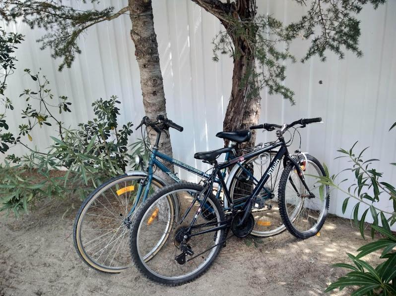 טוריי Maison Jardin Wifi - Climatisation - 100 M Plage Sauvage - 20 Min Perpignan מראה חיצוני תמונה