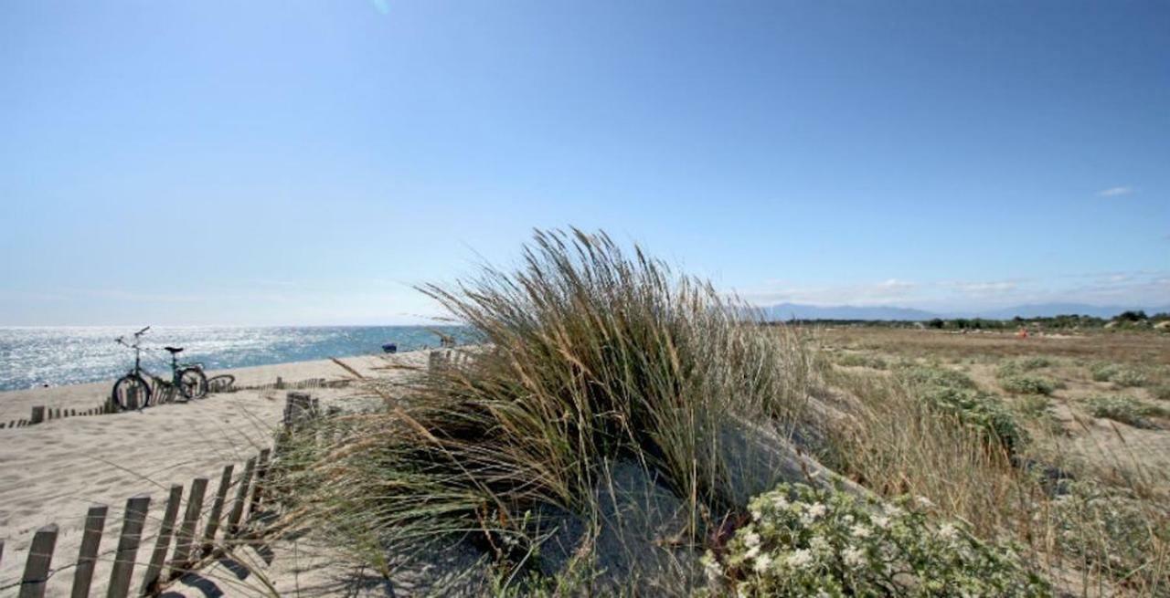 טוריי Maison Jardin Wifi - Climatisation - 100 M Plage Sauvage - 20 Min Perpignan מראה חיצוני תמונה